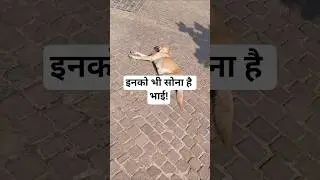 So lenay do yaaro #sleep#viral#youtubeshorts#viralplzz#india#relaxing#day#viralmusic#