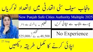 Punjab Safe Cities Authority Jobs 2025 - PSCA Multiple Govt Jobs in Pakistan - Apply Online Now