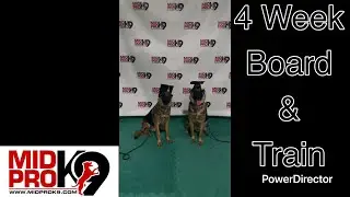 Max & Rex Graduation Video