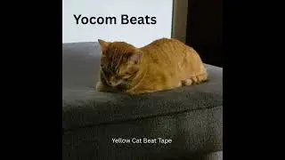 Yocom Beats   Yellow Cat Beat Tape   Alpha Centauri