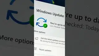 Microsoft tạm ho&atilde;n cập nhật Windows 11 th&aacute;ng 6/2025 do lỗi tương th&iacute;ch