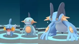 Pokemon Go Mudkip to Marshtomp to Swampert Evolution Showcase Pok&eacute;dex 258, 259, and 260