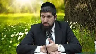 הרב אליהו עמר-HD- זרע שמשון פרשת וזאת הברכה תשע''ז