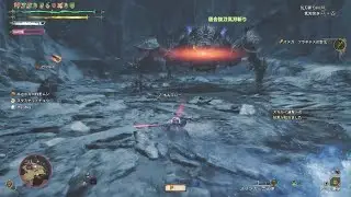 Monster Hunter Wilds_20251231004713