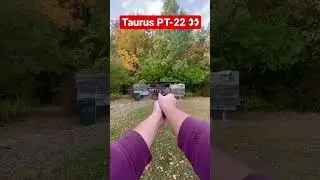 Taurus PT-22  (POV) 🫡 #taurus #gunasmr #guns