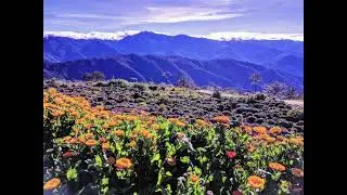 Atok, Beguet, here na where na you? #shorts #atokbenguet #travelvlog #teaser #richardthejuanderer