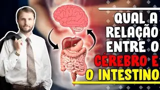 *DICA DE SAÚDE* Qual a relação entre INTESTINO e EMOÇÕES