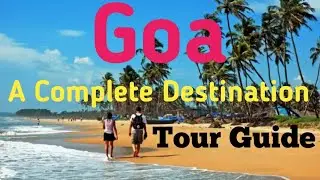 Goa Travel Guide: Must-See Beaches and the Perfect Timing for Your Visit