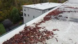 11/10/2022 Eastport Roof Checkup