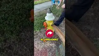 V&iacute;deo impactante 😲😲