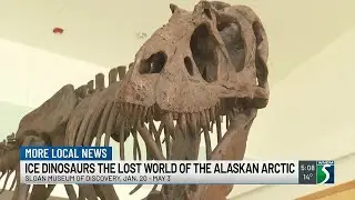 Dinosaur exhibit now open at Sloan Museum of Discovery