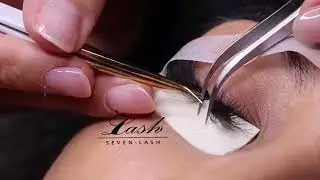 How to  graft mega volume lash Tutorial? | Lash Artist Tips & Tricks  | SEVENLASH.COM