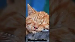 Embrace Life's Potential