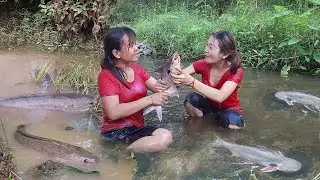 Skills catch fish in river for food, Fish hot chili grill for dinner, Fish spicy curry for lunch