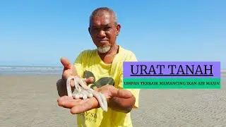 URAT TANAH | UMPAN TERBAIK IKAN AIR MASIN