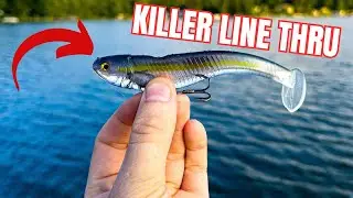 THE ABSOLUTE BEST Line Through Swimbait!