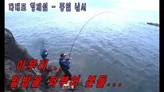 [피싱에세이. 96] 아무리... 밑밥을 퍼부어 본들... / 다대포 형제섬 21번 자리 / 참돔, 부시리 등