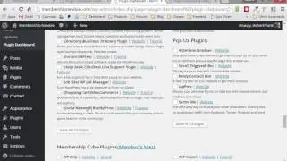 Customize WordPress Post Signatures, CSS, Headers, and Footers All on One Screen