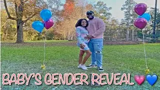 BABY GENDER REVEAL 2021! 💗💙