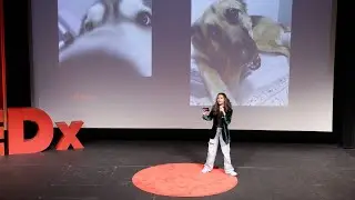 Patience and Paws | Teah Charkawi | TEDxPaceAcademy