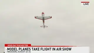 Model planes take flight in Palmyra airshow