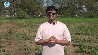 SOIL TESTING PKG