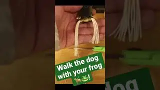 Tip on how to walk the dog with your frog! #shorts