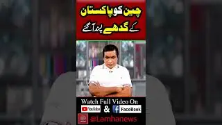 چین کو پاکستان کے گدھے پسندآ گئے | Lamha News