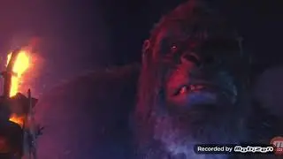 Godzilla vs Kong (book hold on,I'm coming)