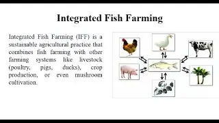 Integrated Fish Farming/Fisheries and Aquaculture/BS & MS Zoology/Fisheries