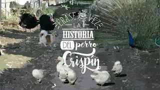 Érase una vez... La historia del perro Crispín (HD)