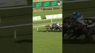 THINK IT OVER has sadly passedd away 🕊️Who could forget his incredible ride in the 2023 Everest&hellip; 👏