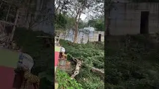 #reels #youtubeshorts #india #subscribe #trending #viral #bangalore #trendingshorts #yercaud #temple