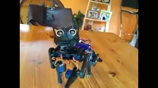 OpenCat Fancat