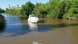 📌 Custon Special Di&eacute;sel  sportcruiser 👉 en borello.com.ar