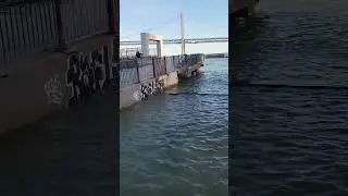 near SF Pier 14