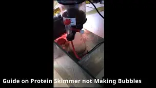 Guide on Protein Skimmer not Making Bubbles