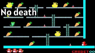 너구리 / No death / Arcade
