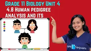 Grade 11 Biology Unit 4: 4.8 Human pedigree analysis and its importance | Saquama