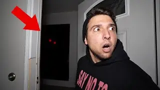 SOMETHING FOLLOWED US HOME..