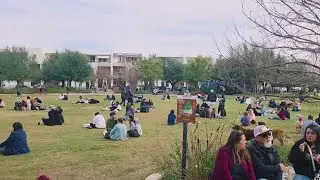 How Texas could hold HOAs accountable