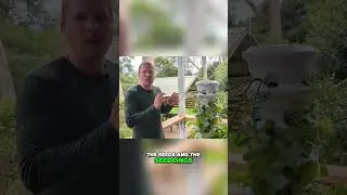 Airgarden Tips Use a Journal to Monitor pH, Nutrients, and Growth