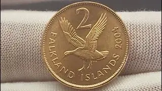FALKLAND ISLANDS 2004 2p 2 Pence Coin UPLAND GOOSE VALUE + REVIEW
