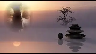 MEDWYN GOODALL - Dolphin Companion (Music for Relaxation & Meditation).mp4