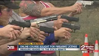 Online Firearms Safety Course Sought For Firearms License