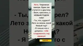 🎄 С Новым сроком!🥲#humor#jokes#funny#comedy#standup#юмор#анекдоты#смешное