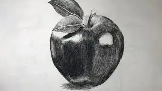 How to Draw Apple Step by Step 🍎 | Simple Sketch Tutorial