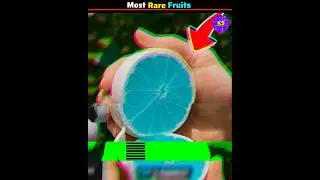 most rare fruits#shorts #fruit