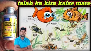 Talab ka kira Kaise Mare | kira marne wala dawai | fish pond best insect killing medicine #fishinfo
