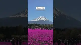 Majestic Mount Fuji from all angles✨️ #MtFuji #cooljapan